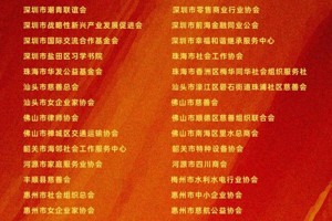 廣東省注冊(cè)會(huì)計(jì)師協(xié)會(huì)評(píng)選為廣東省先進(jìn)社會(huì)組織